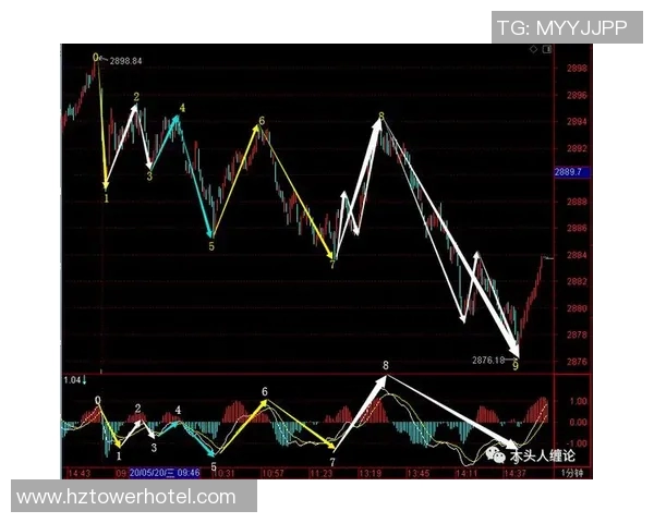 杭州排球队包夹战术解析与实战应用探讨