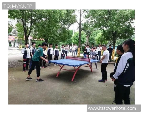 重庆羽毛球队实力深度解析与其他球队的全面对比分析