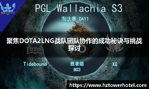 聚焦DOTA2LNG战队团队协作的成功秘诀与挑战探讨